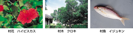 ���¼�Υ���ܥ�