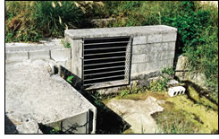 屋宜のムラガー