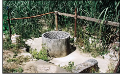 津覇のウブガー