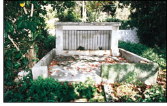 泊のシチャヌカー