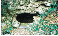 新垣のミージャーガー