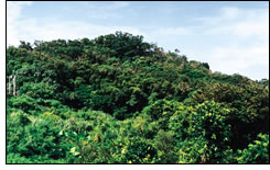 台グスク(久場)