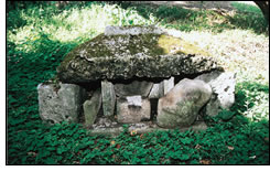 和宇慶のウガン