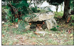 イベノマエノ嶽(奥間)