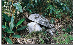 神根之嶽(奥間)