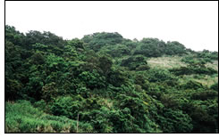 キシマコノ獄(北上原)