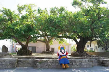 ごさまるが公園でたたずむ画像