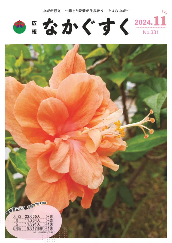 331号（2024年11月）