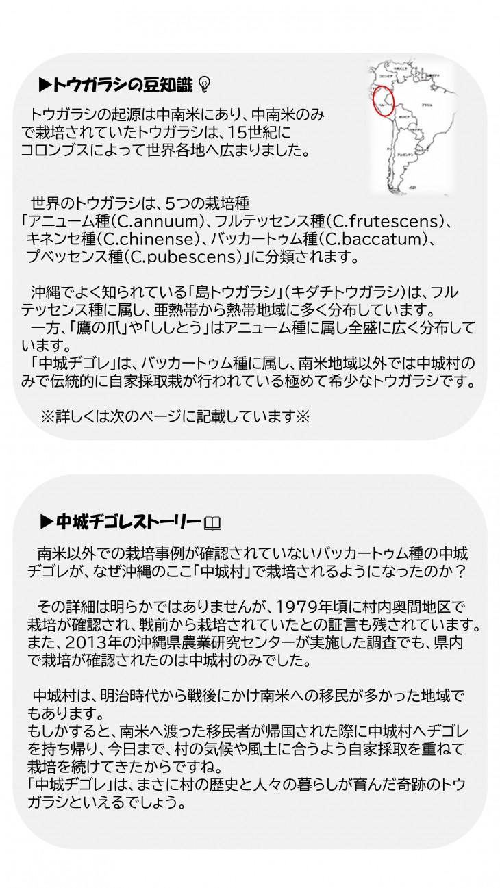 中城ヂゴレのストーリー