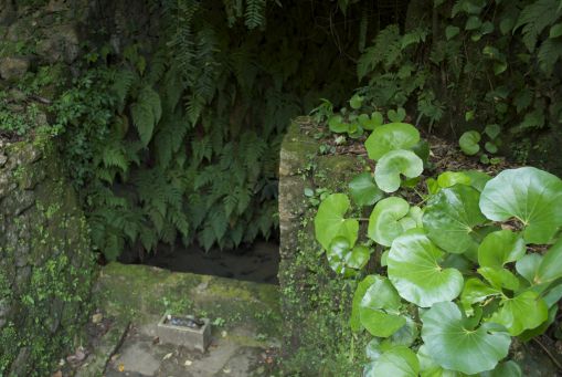 中城城跡外観１